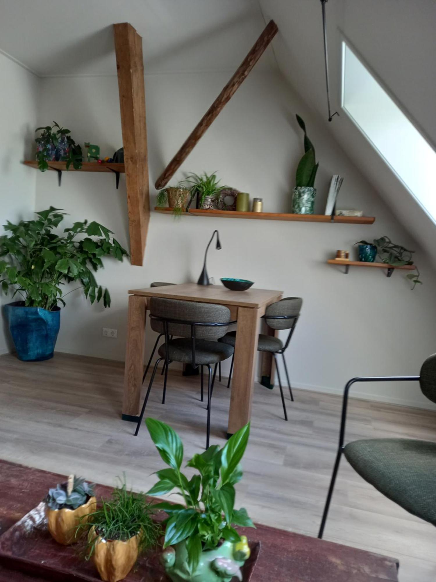 B&B Aan De Fjildwei Rinsumageest Экстерьер фото